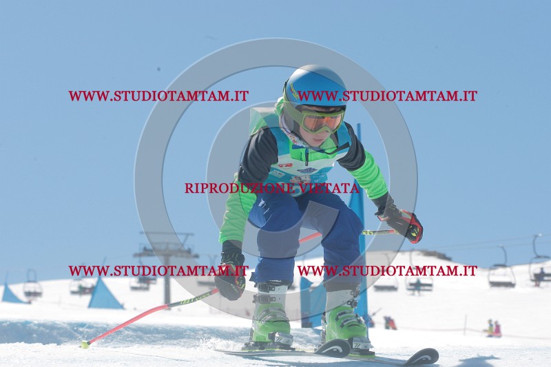 IMGB0939.JPG