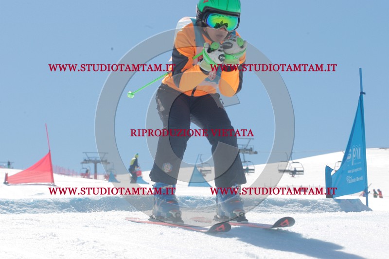 IMGB0946.JPG