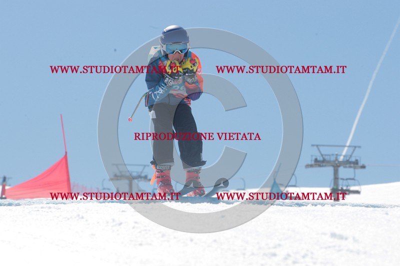 IMGB0971.JPG