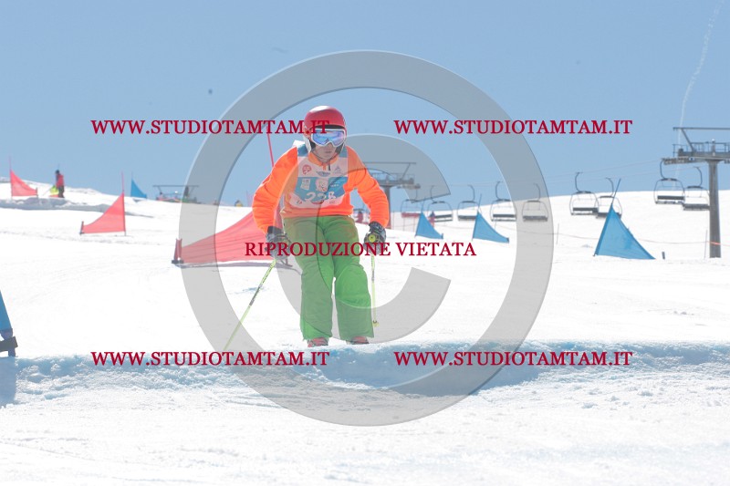 IMGB0990.JPG