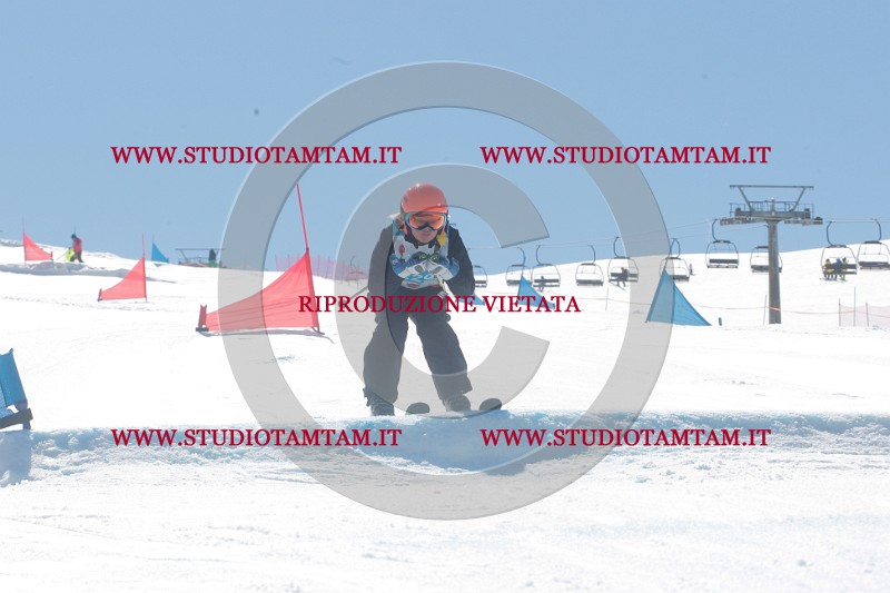 IMGB0998.JPG