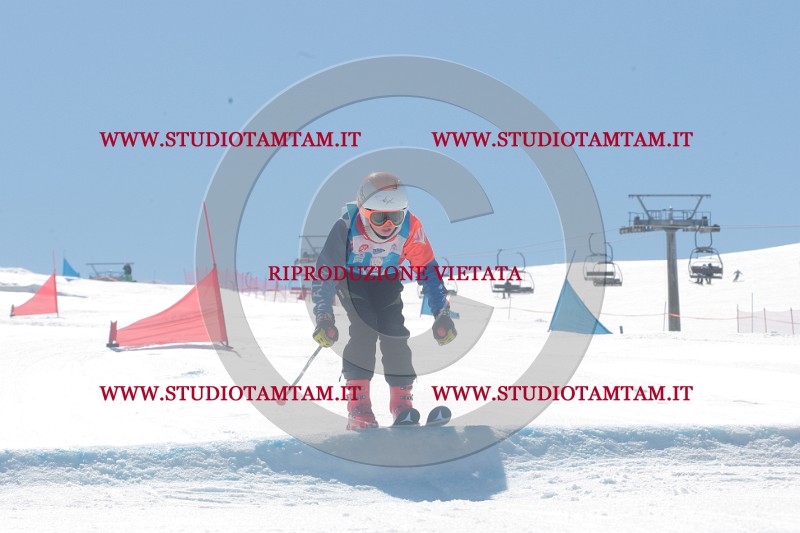 IMGB1017.JPG