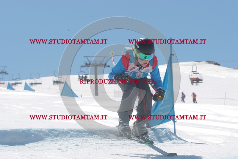 IMGB1049.JPG