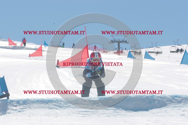 IMGB1072.JPG