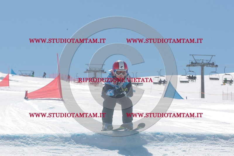IMGB1074.JPG