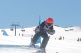 IMGB0780