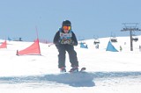 IMGB0823