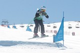 IMGB0857