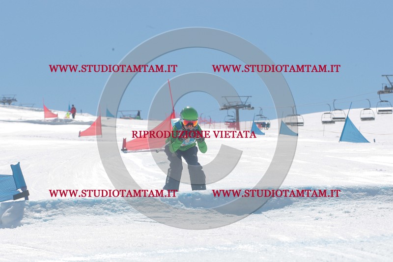 IMGB1237.JPG