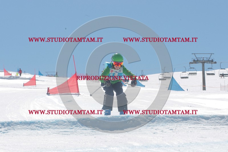 IMGB1239.JPG