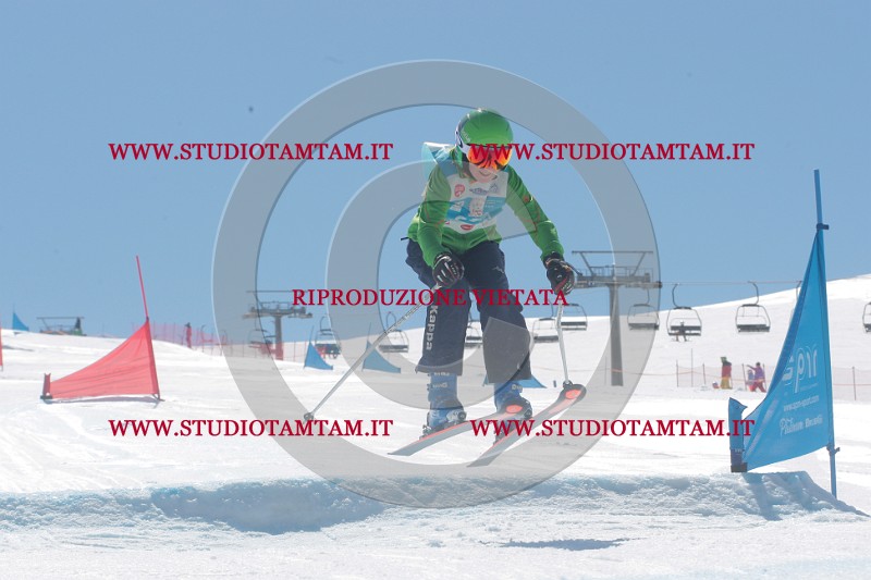 IMGB1241.JPG