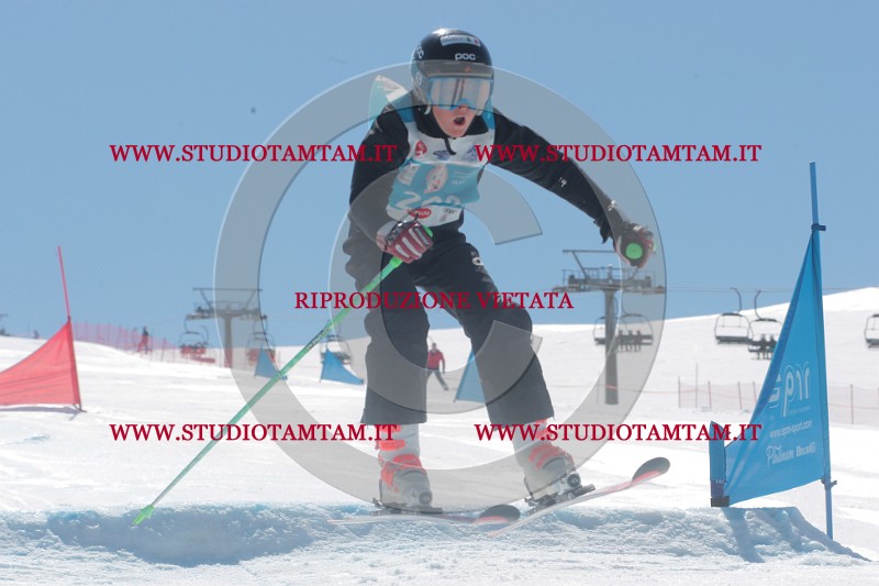 IMGB1281.JPG