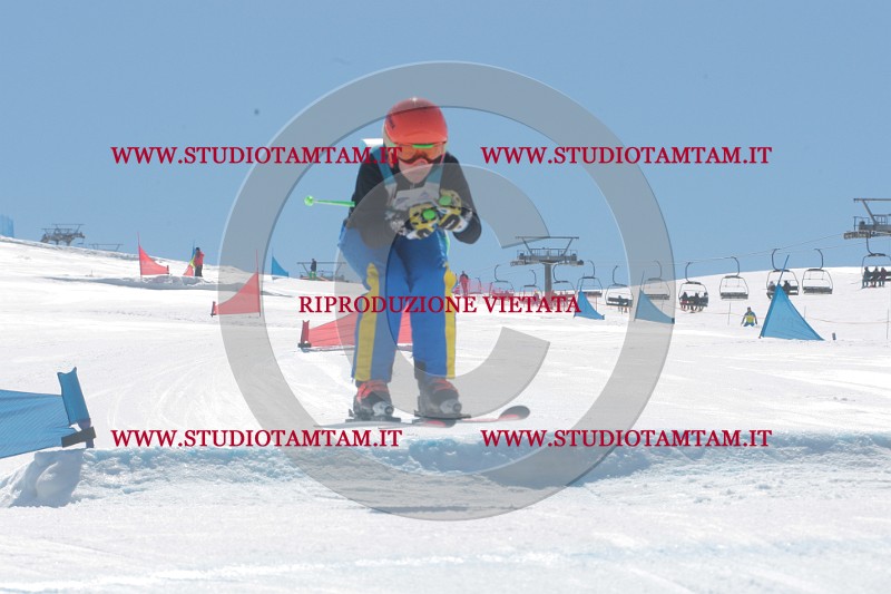 IMGB1310.JPG