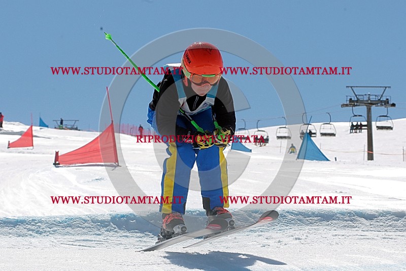 IMGB1311.jpg