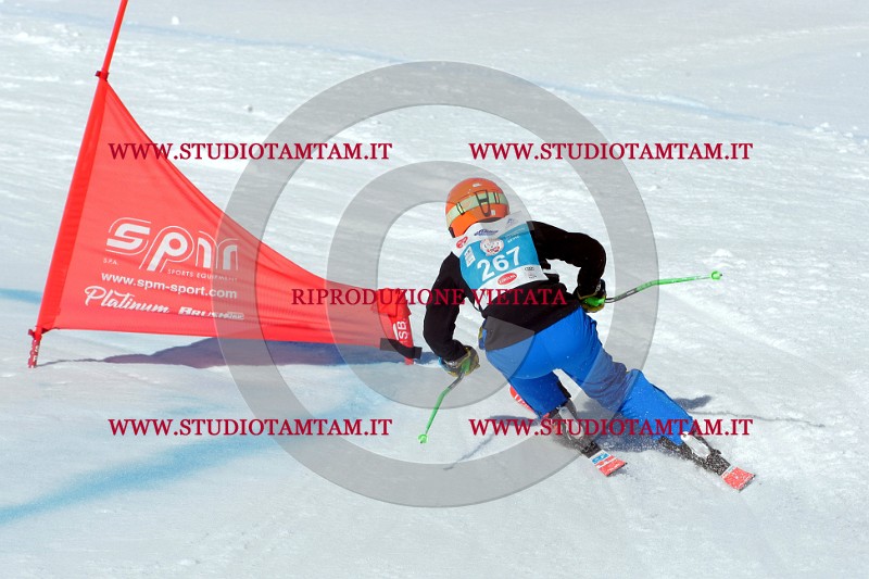 IMGB1313.jpg