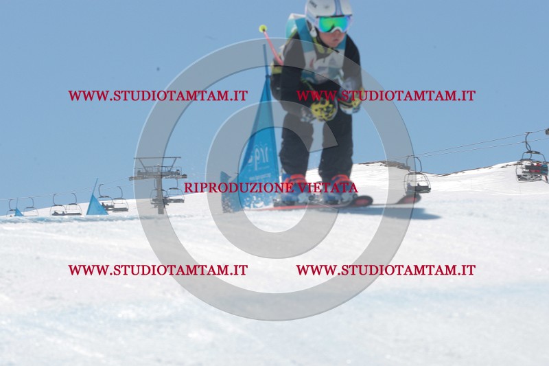 IMGB1375.JPG