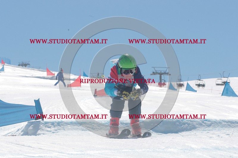 IMGB1436.JPG