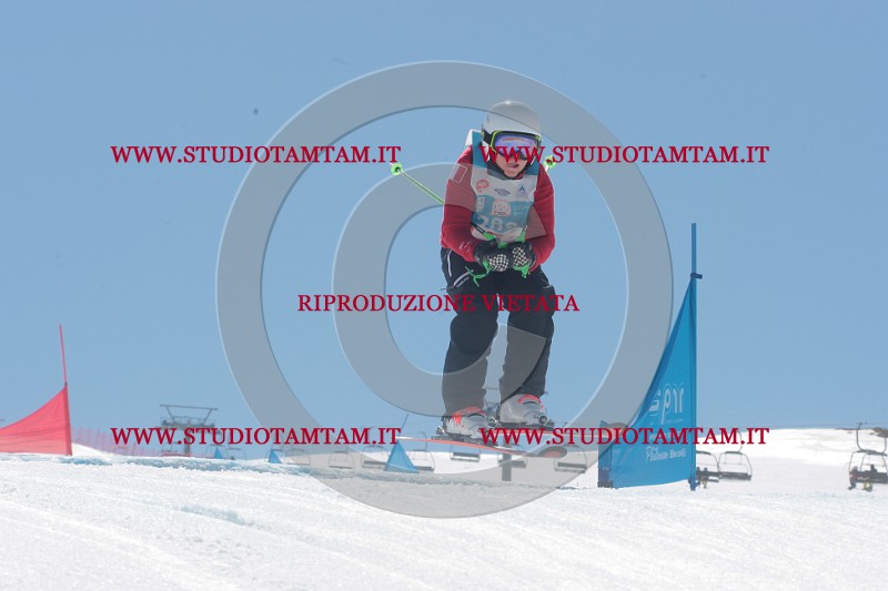 IMGB1468.JPG