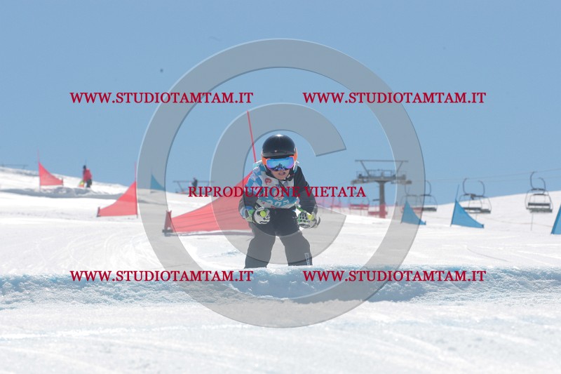 IMGB1476.JPG
