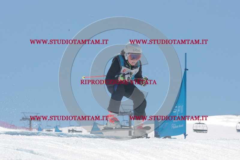 IMGB1487.JPG