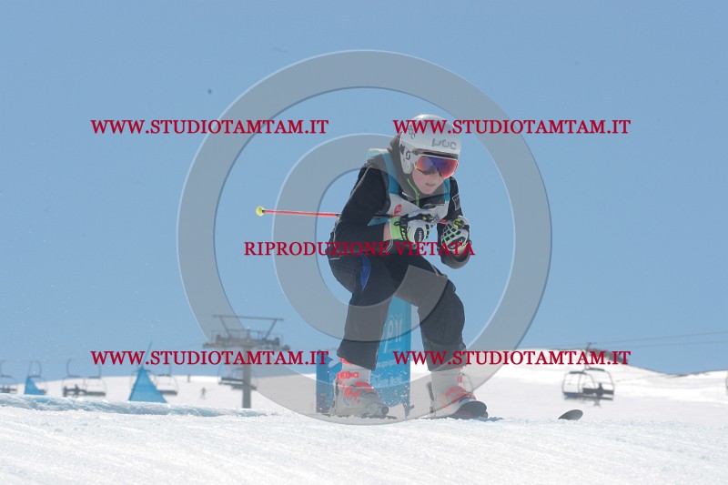 IMGB1488.JPG