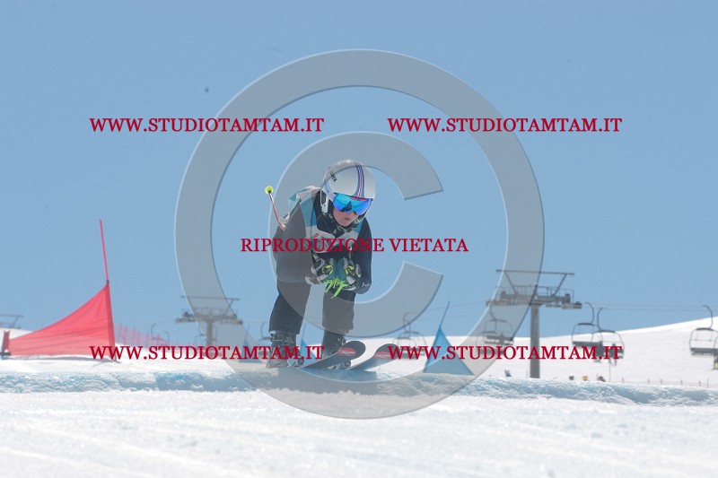 IMGB1555.JPG
