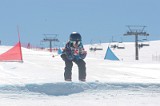 IMGB1212