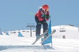 IMGB1250
