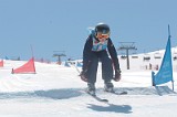 IMGB1259