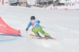 IMGB1500