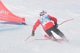 IMGB1506