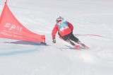 IMGB1508
