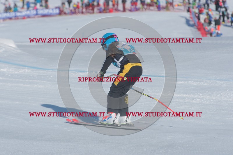 IMGB9218.JPG