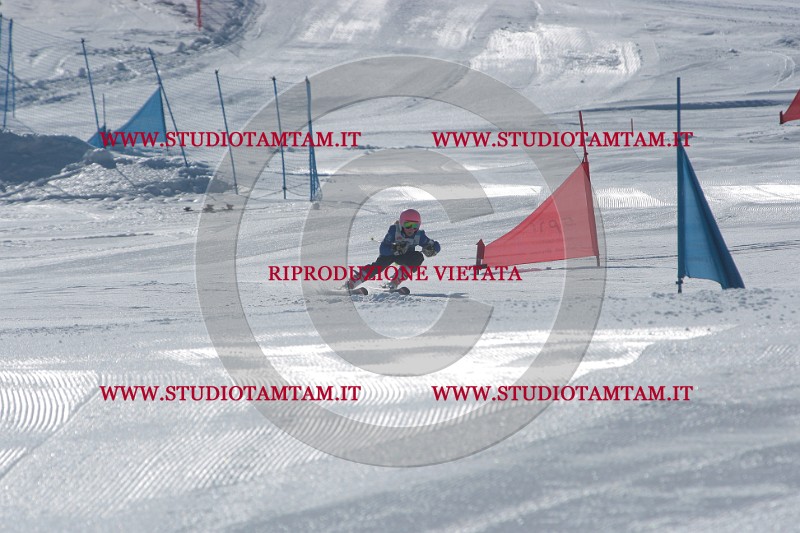 IMGB9262.JPG