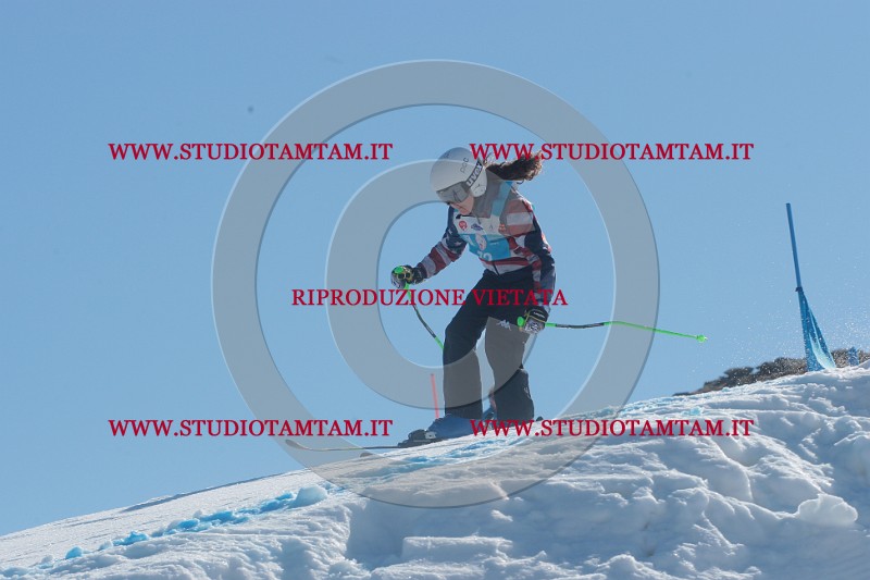 IMGB9378.JPG