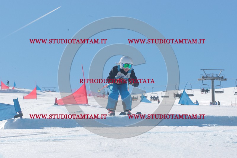 IMGB9471.JPG