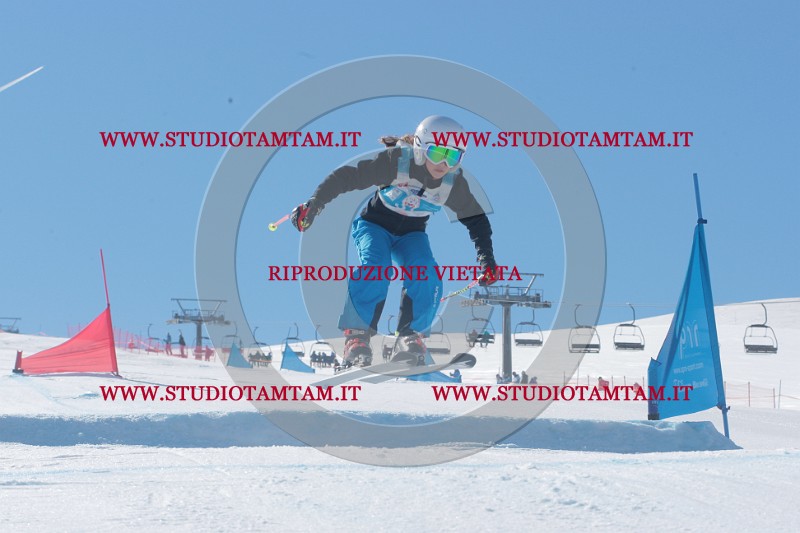 IMGB9473.JPG