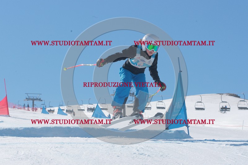 IMGB9474.JPG