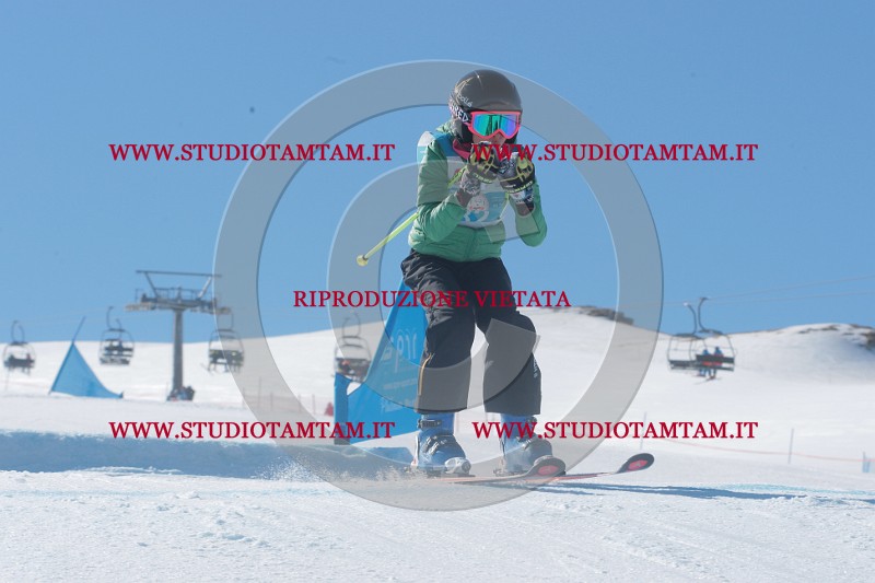IMGB9487.JPG