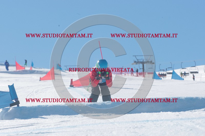 IMGB9513.JPG