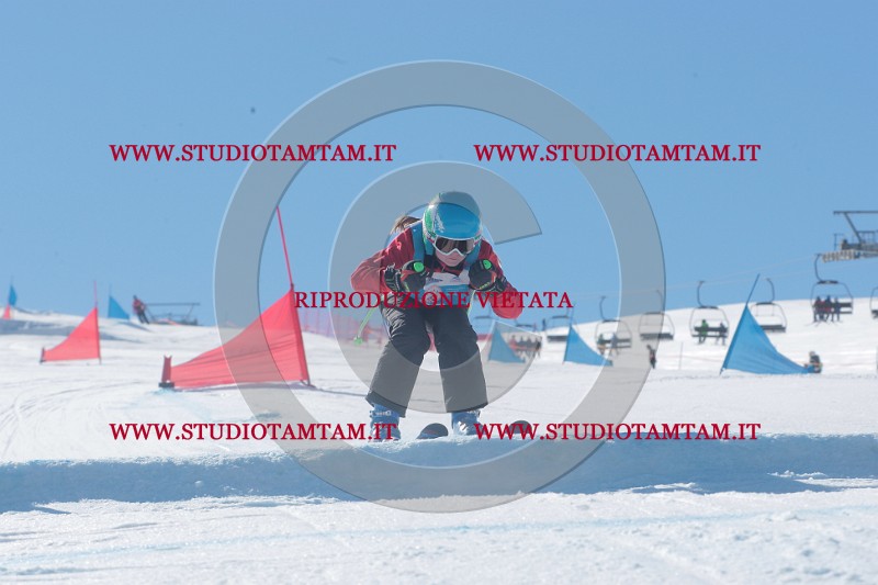 IMGB9515.JPG