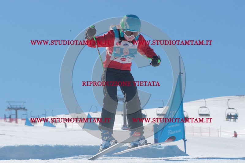 IMGB9518.JPG