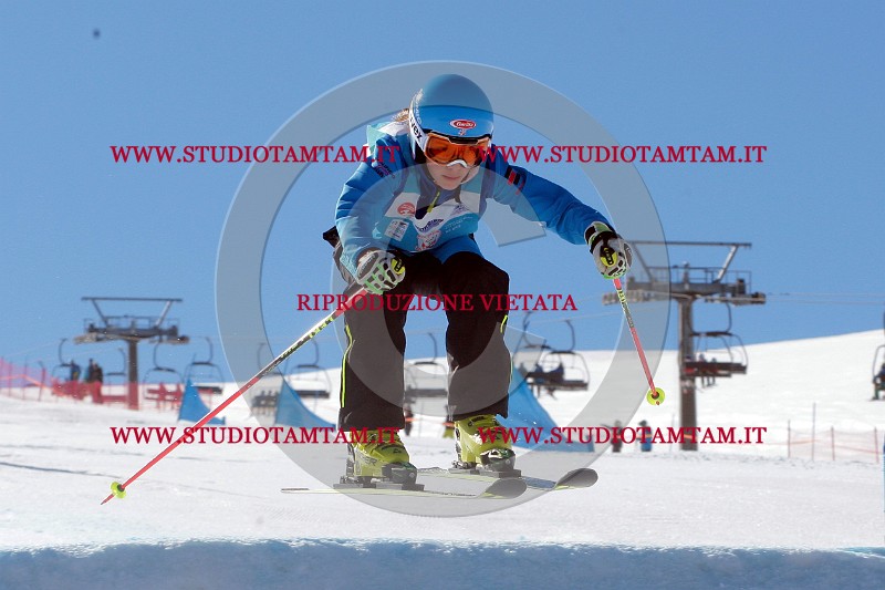 IMGB9596.jpg