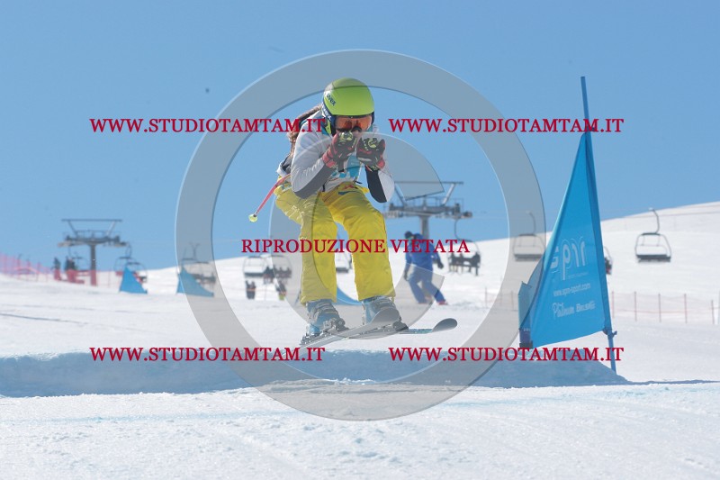 IMGB9617.JPG