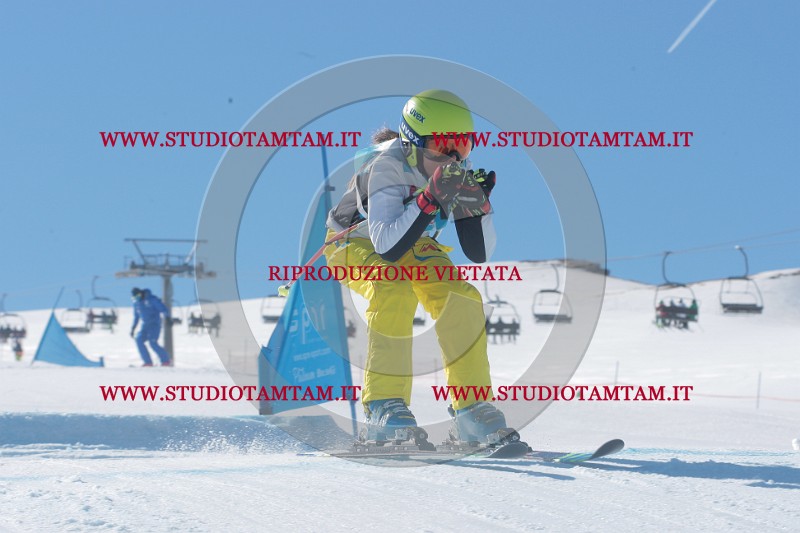 IMGB9619.JPG