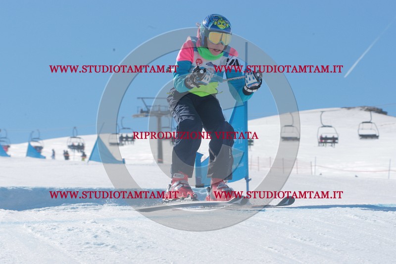 IMGB9632.JPG