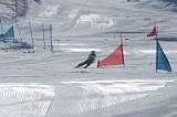 IMGB9284