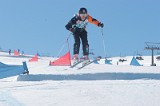 IMGB9495