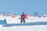 IMGB9512