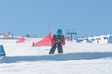 IMGB9514